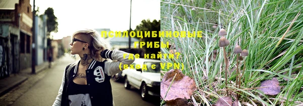 mdpv Бронницы