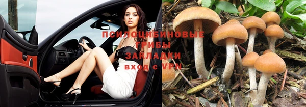бутик Бородино